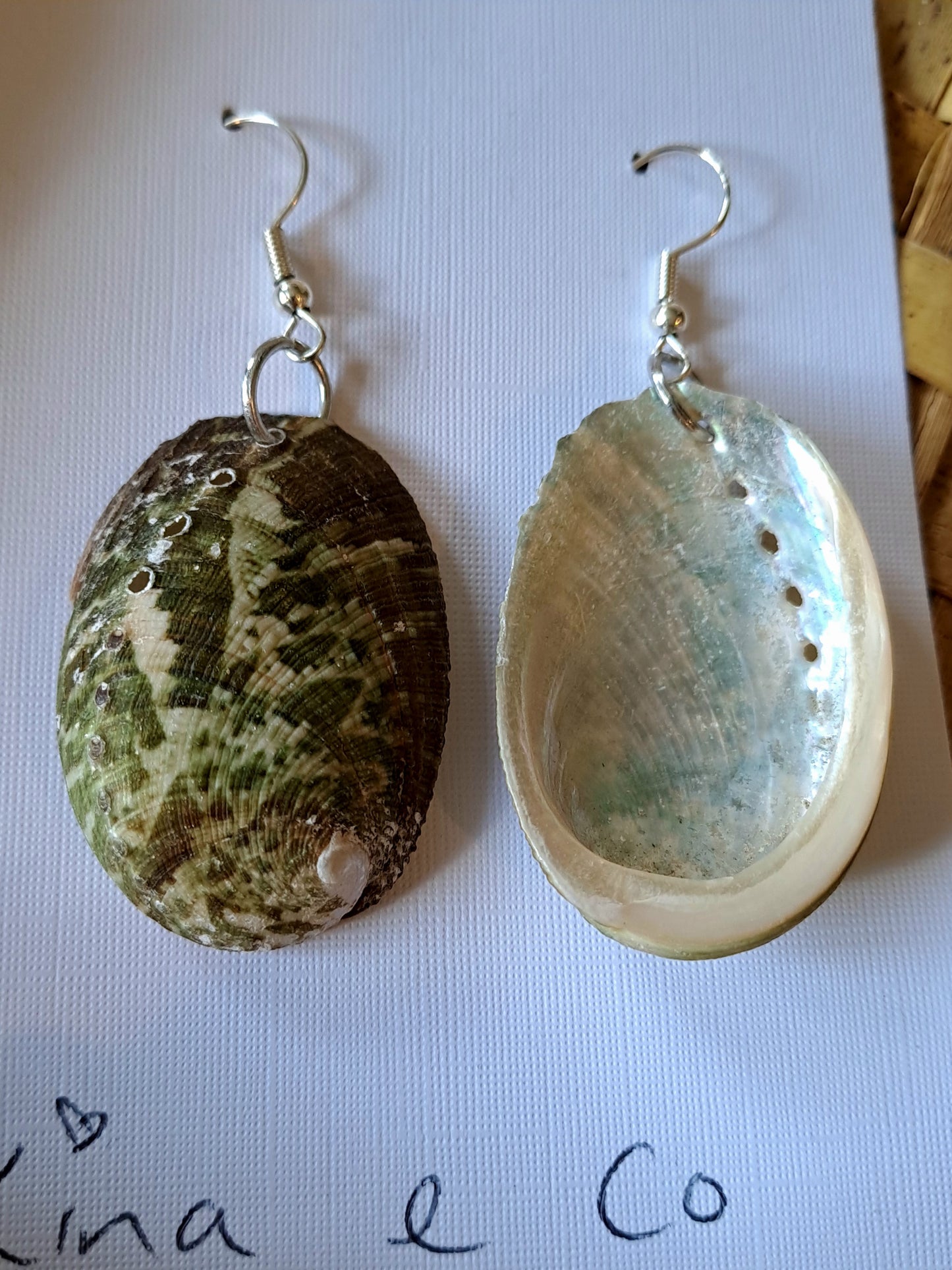 Paua earrings