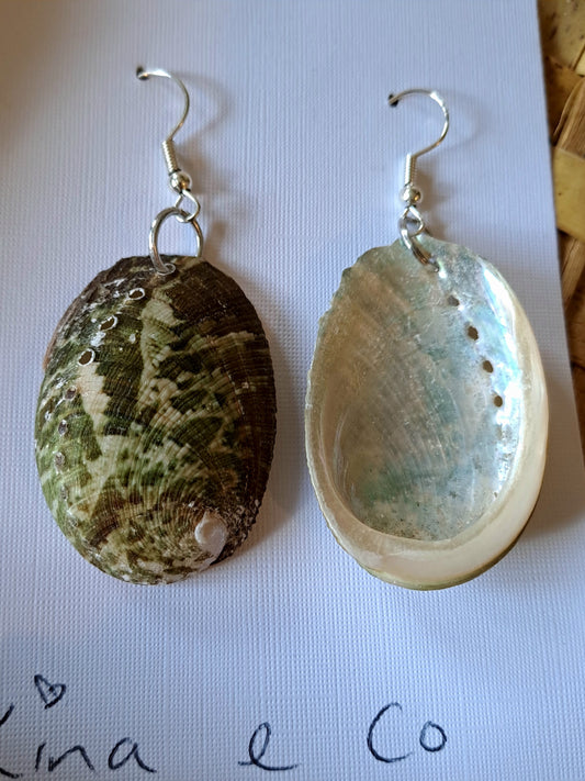 Paua earrings